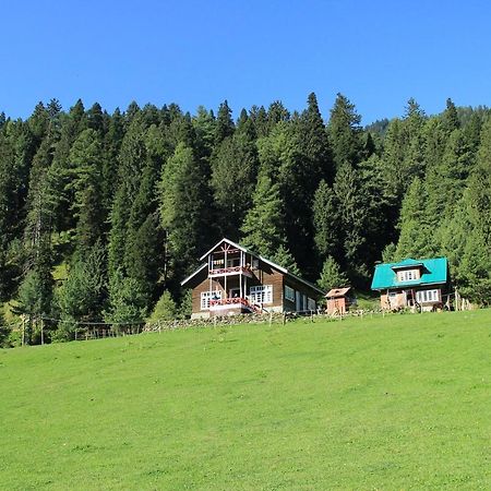 Hotel Peaceful Mornings Srinagar Exterior foto